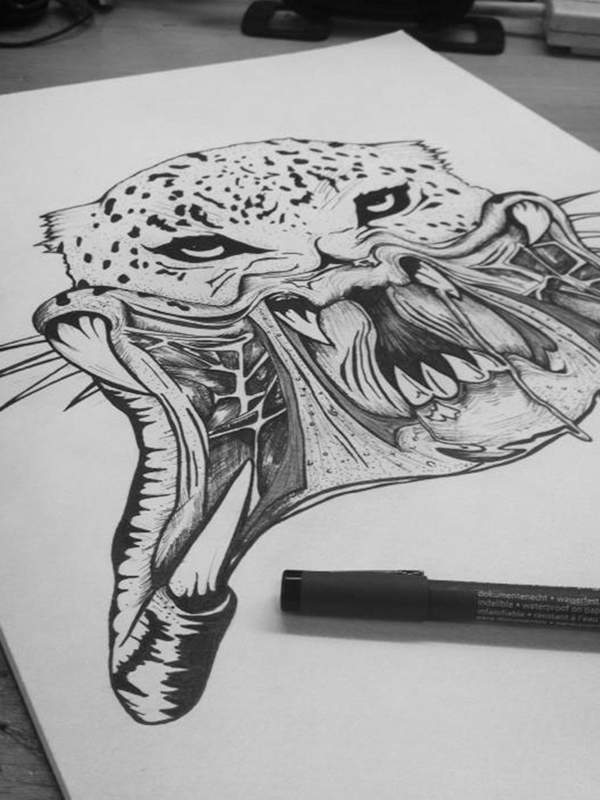 predator-leopard-image-place-holder